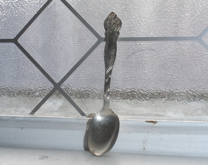 Antique Demitasse Spoon Lakeside