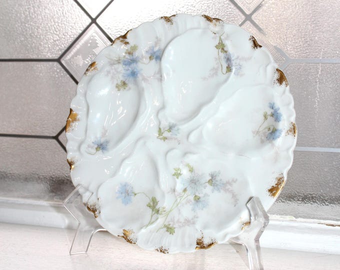 Charles Field Haviland Limoges Oyster Plate Circa Late 1800s