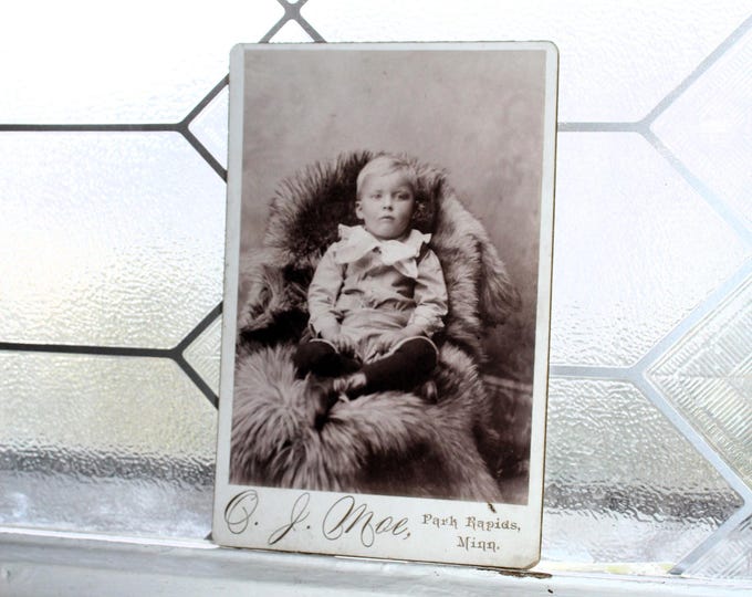 Vintage Cabinet Card Photograph Victorian Boy with Bear Skin Rug