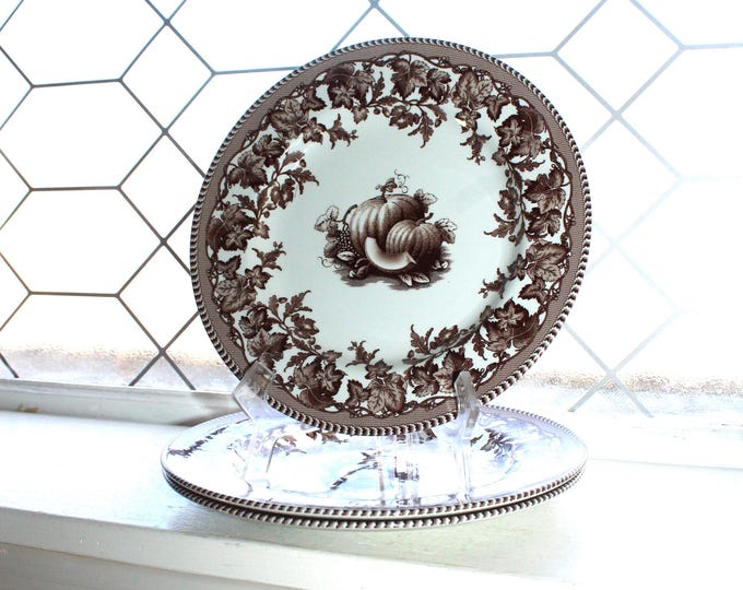 3 Spode Westbourne Salad Plates Vintage Brown and White Accent