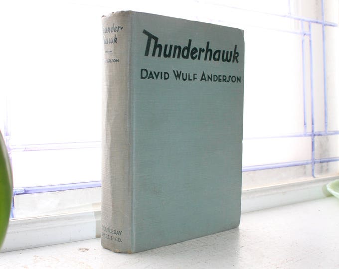 Vintage 1926 Book Thunderhawk by David Wulf Anderson First Edition