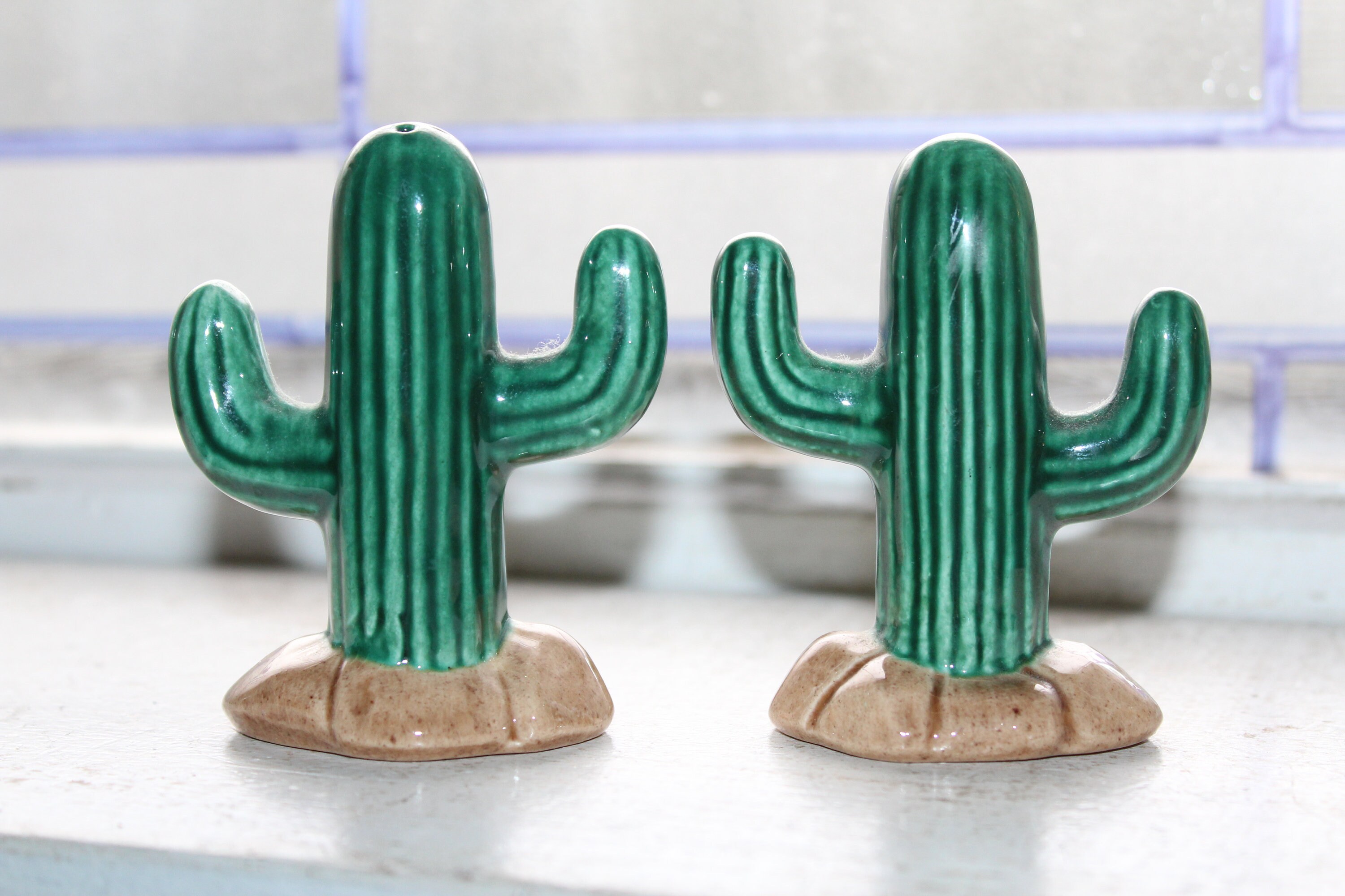 Vintage Salt and Pepper Shakers Cactus