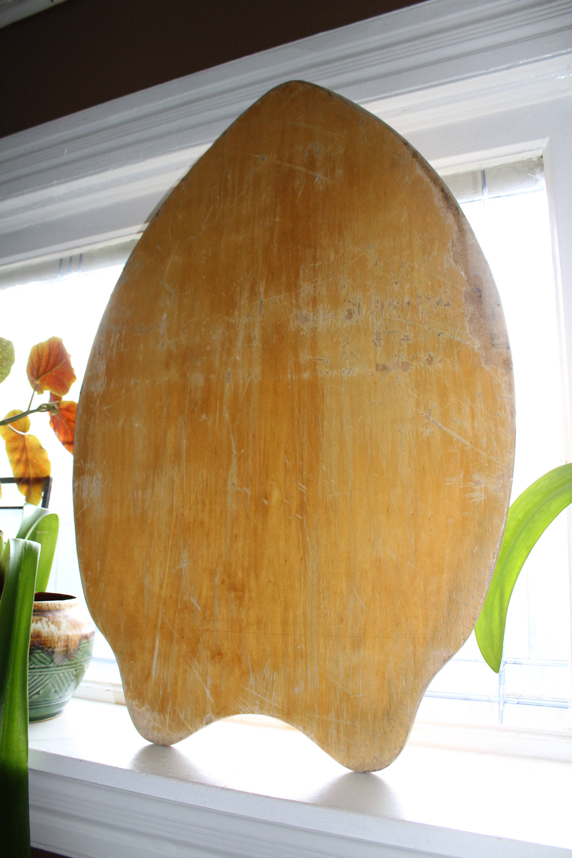 Skim Lizard Surf Board Skull and Roses Ed Hardy Style 2007 Wall Decor