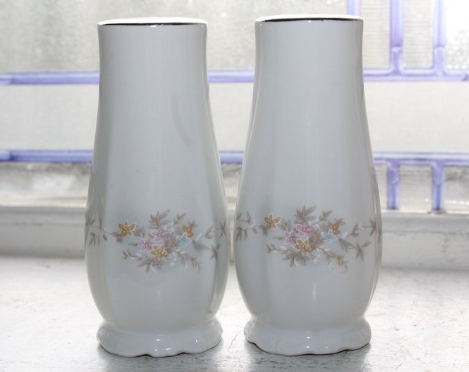 Johann Haviland Floral Splendor Salt & Pepper Shakers Vintage Bavaria