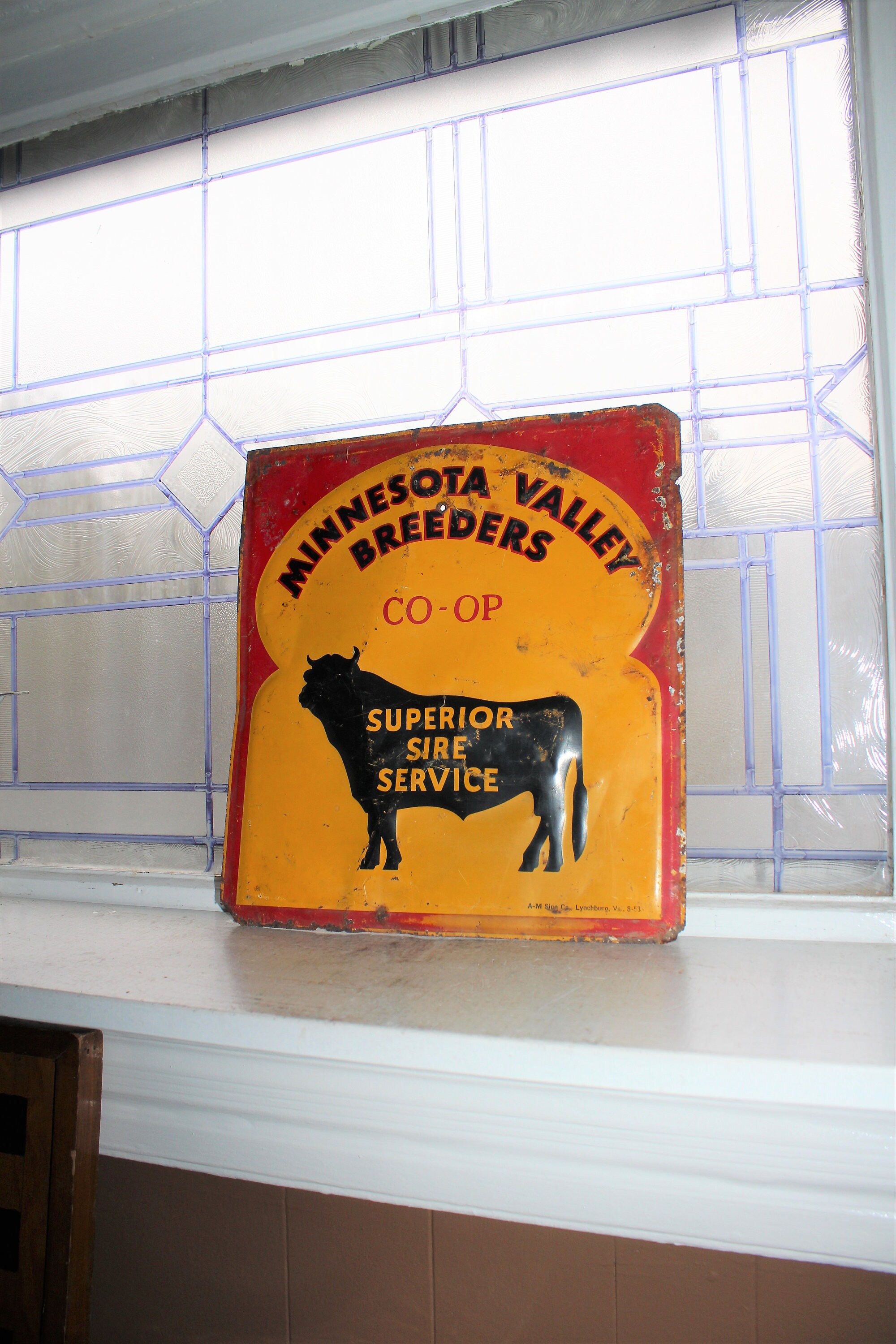 Vintage Tin Sign Minnesota Valley Breeders Coop Cattle
