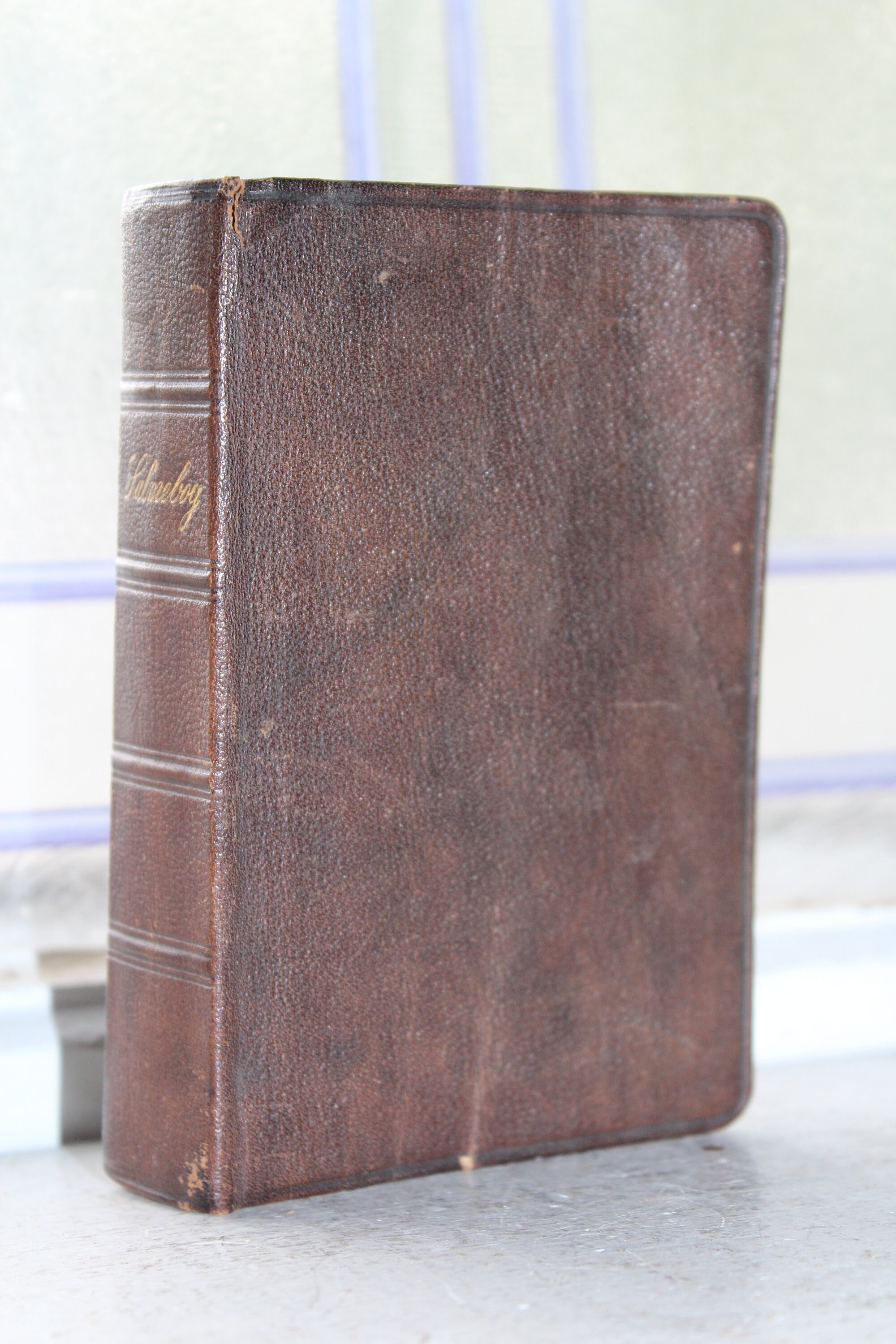 Antique 1895 Scandinavian Bible Danish Language Salmebog