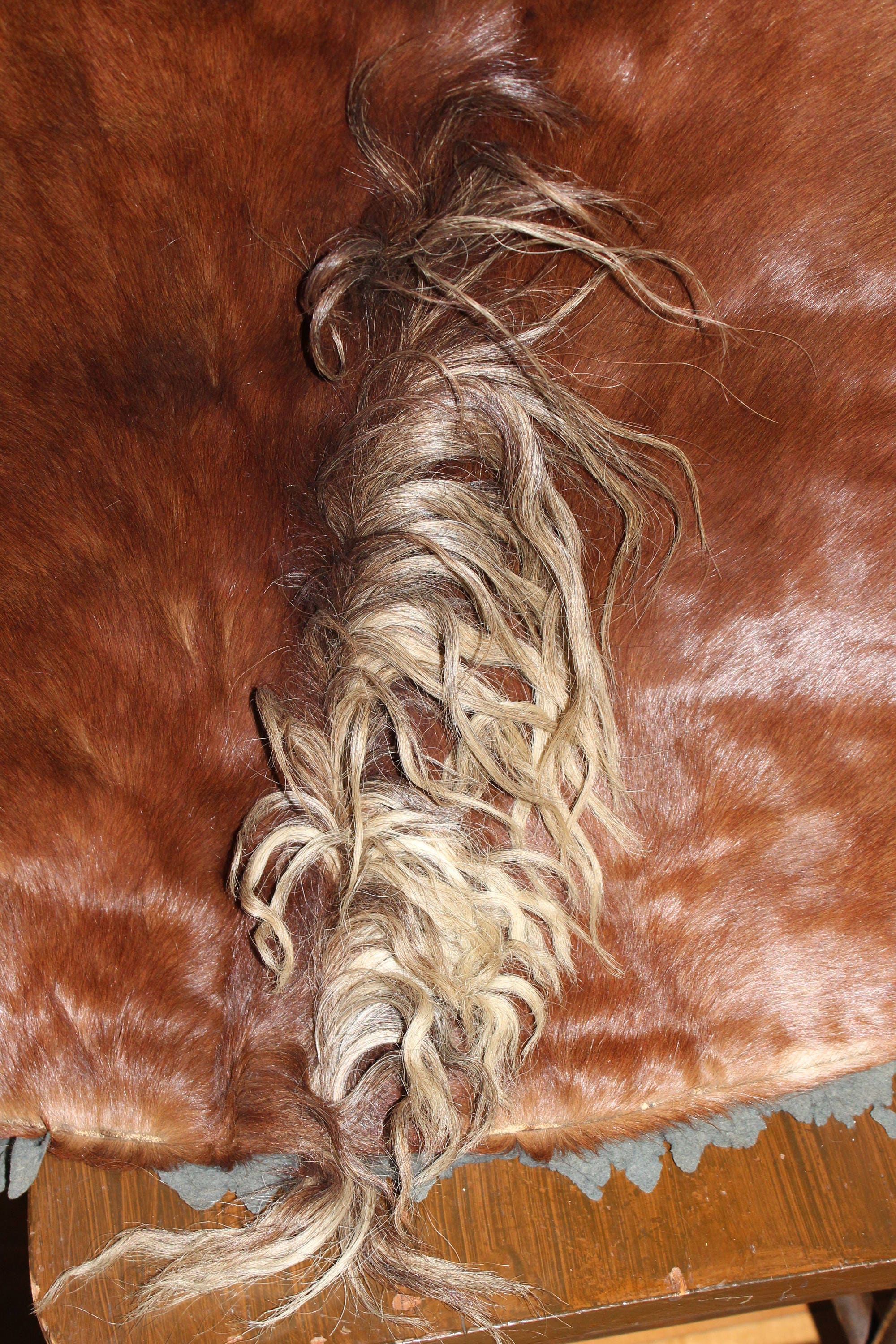Reserved for Karen Antique Western Horsehide Blanket Lap Robe for