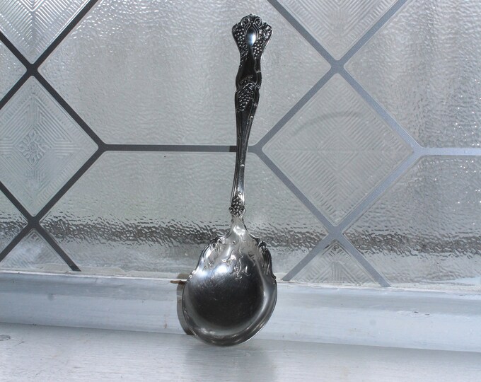 Antique Silverplate Nut or Jam Spoon 1847 Rogers Bros Grapes Pattern