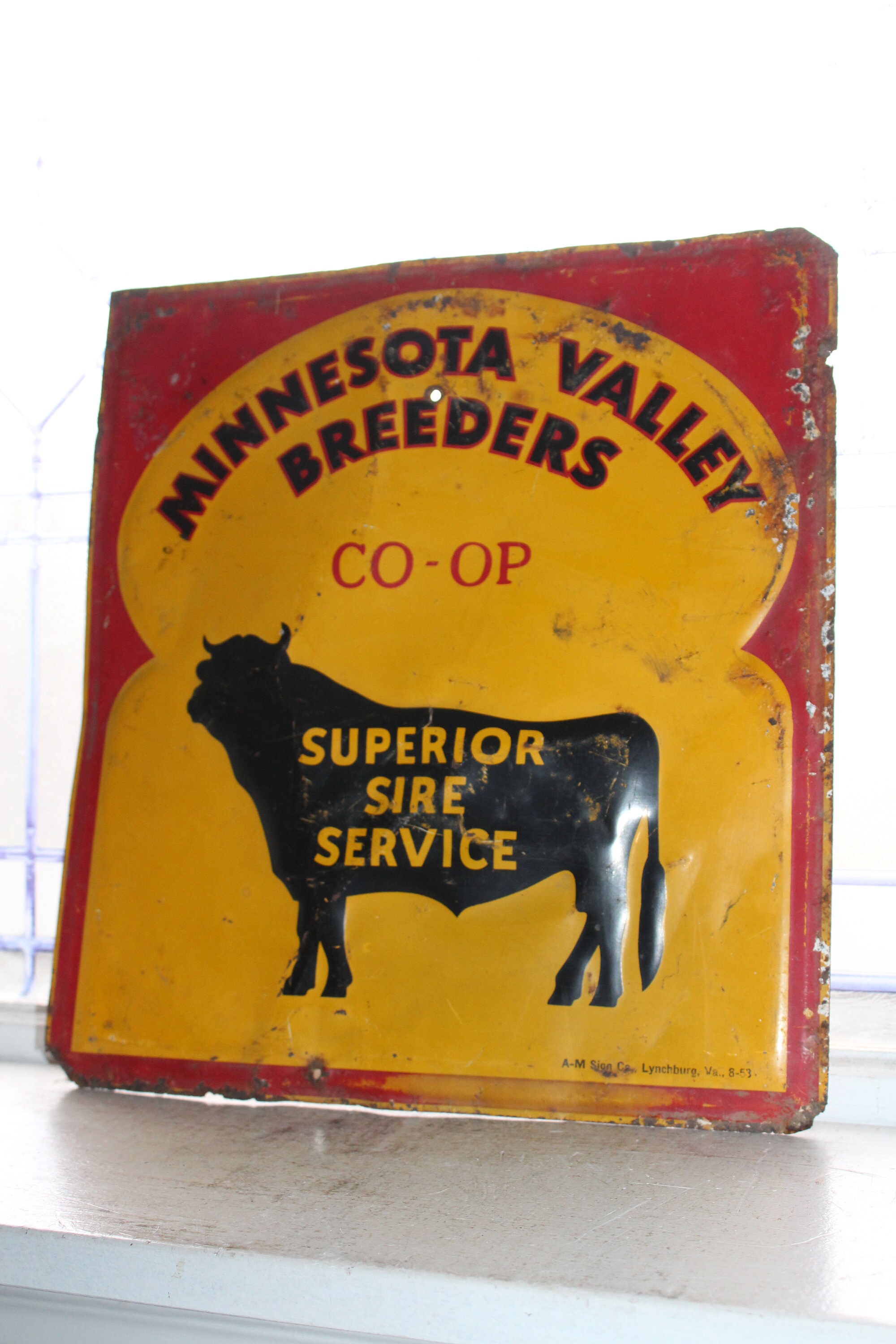 Vintage Tin Sign Minnesota Valley Breeders Coop Cattle