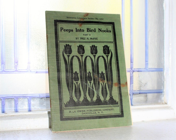 Antique Book Peeps Into Bird Nooks 1910s Art Nouveau Cover