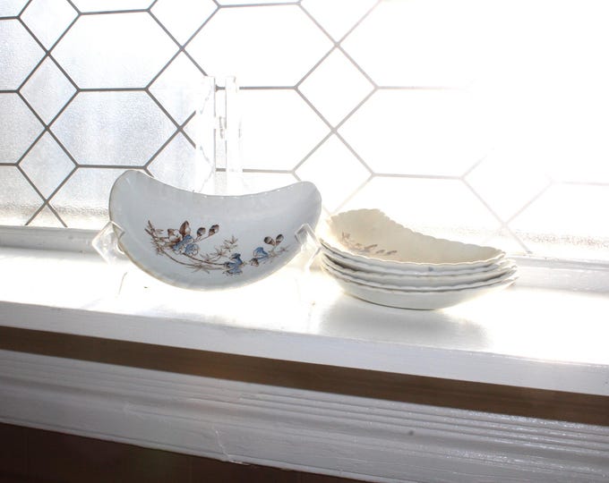 6 Vintage Transferware Bone Dishes Minerva John Edward Fenton England