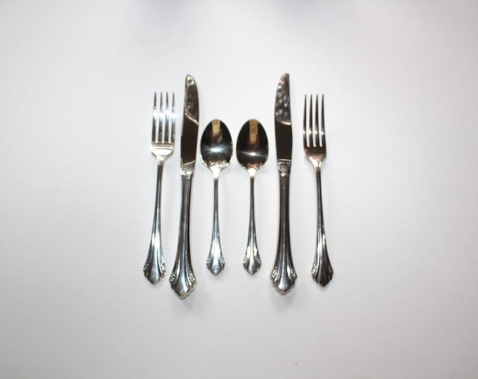 6 Pieces of Vintage Stainless Flatware Repose Bittersweet by Oneida