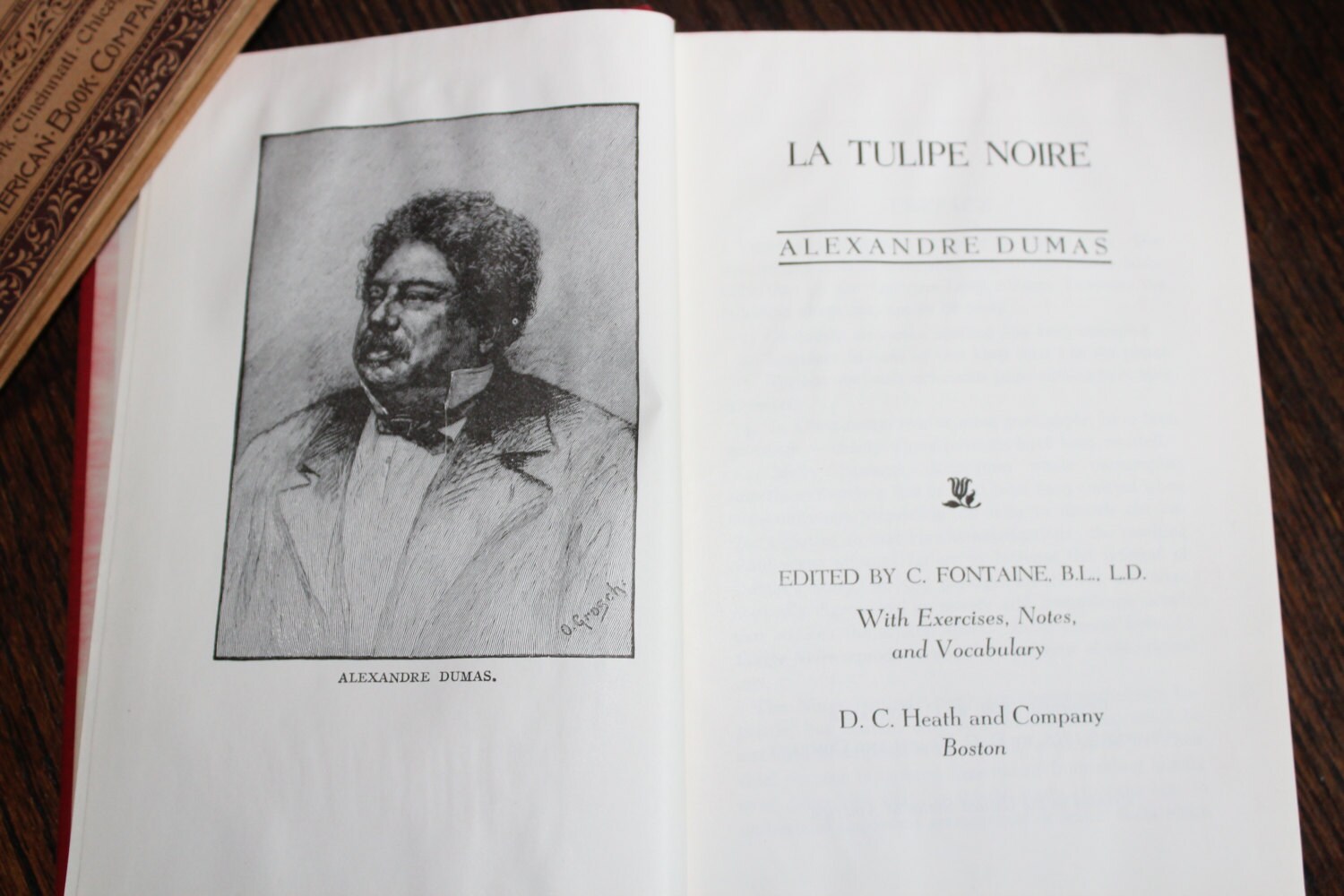 Antique 1918 Book La Tulipe Noire Alexandre Dumas Written