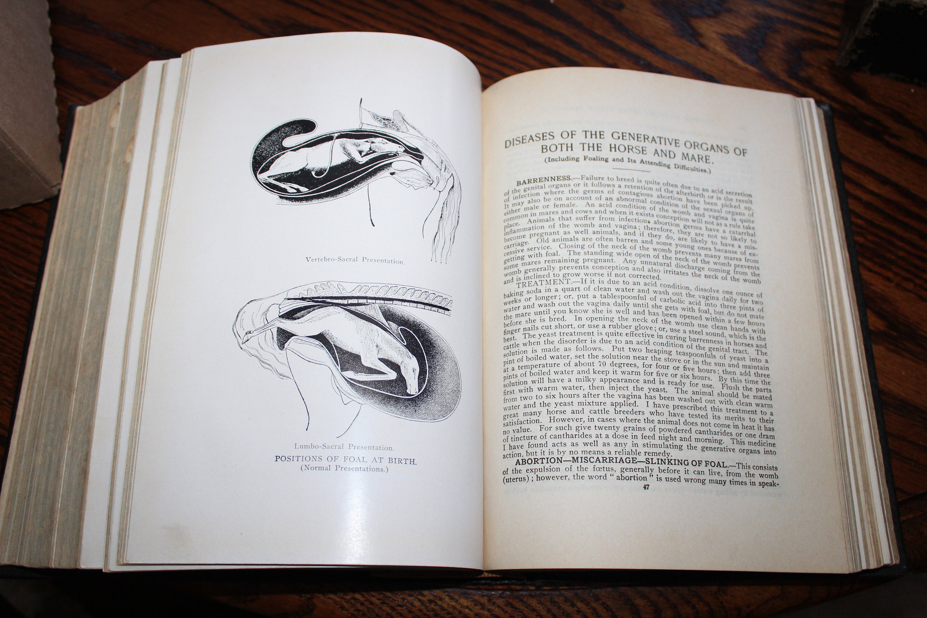 The People's Home Library Antique 1915 Cookbook and More