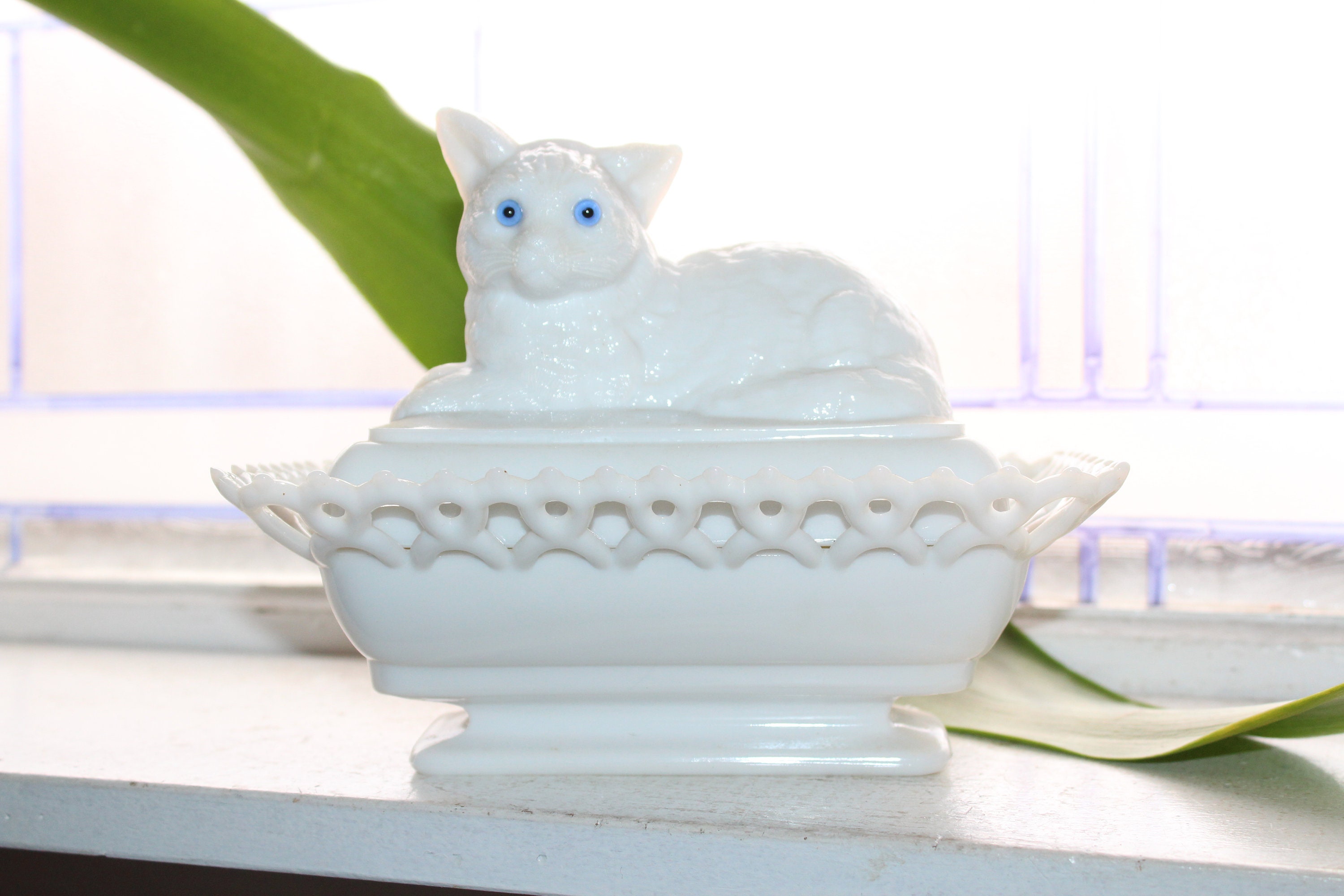 Glass top cat dish