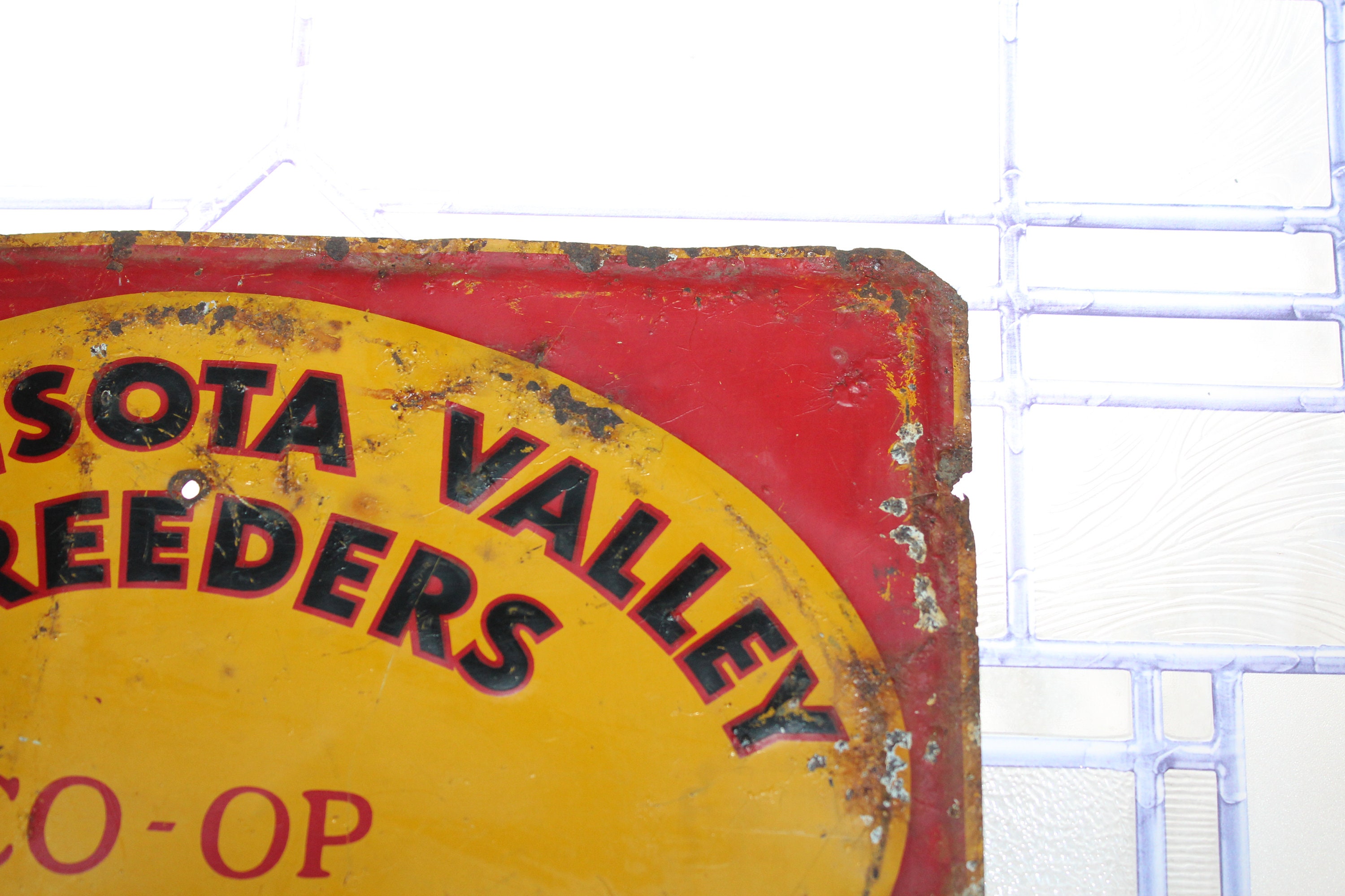 Vintage Tin Sign Minnesota Valley Breeders Coop Cattle