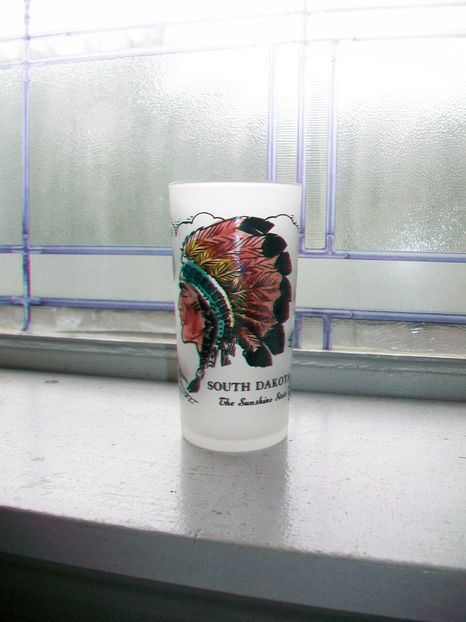 Vintage Souvenir Glass Tumbler South Dakota