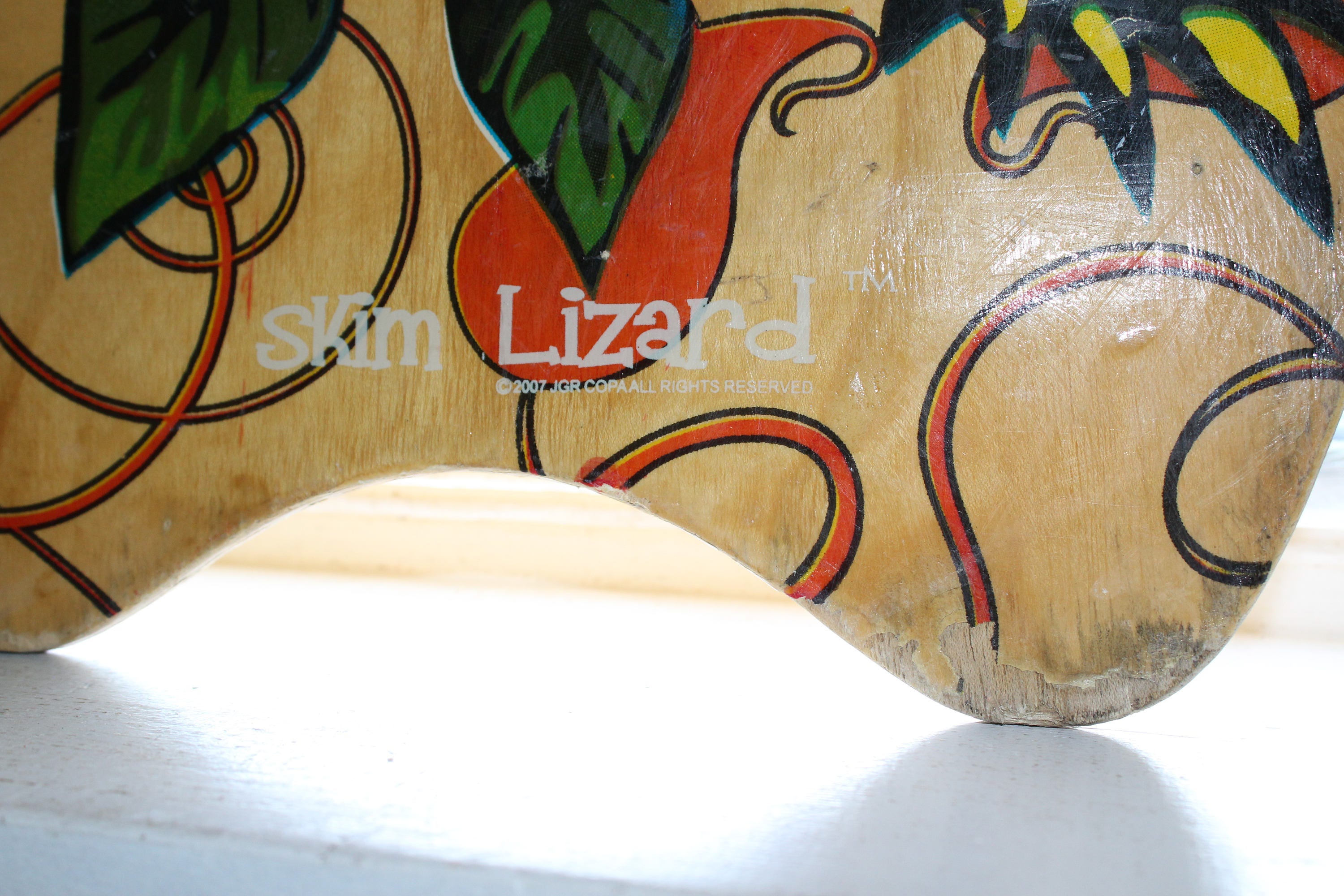 Skim Lizard Surf Board Skull and Roses Ed Hardy Style 2007 Wall Decor