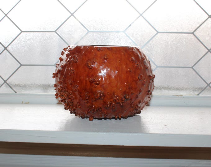 Vintage Knobby Gourd Bowl Planter