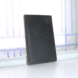 Antique 1800s German Book Die Lause Im Zichte The Break In The Middle
