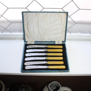 Puede incluir: Un juego de seis cuchillos de mantequilla con mangos amarillos en una caja forrada de terciopelo azul. Los cuchillos están dispuestos en fila con los mangos hacia arriba.