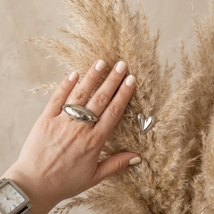 Puede incluir: Se muestra un anillo plateado con diseño ovalado y un pendiente plateado en forma de corazón. Las joyas se muestran sobre un fondo de hierba ornamental seca. Se ve un reloj plateado.