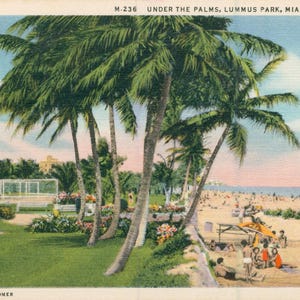 Linen Postcard, Miami Beach, Florida, Beach and Palm Trees at Lummus Park