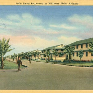 May include: Vintage postcard depicting Palm Lined Boulevard at Williams Field, Arizona. The image shows a wide street lined with palm trees and buildings. The sky is blue with scattered clouds. Several people are walking on the street.