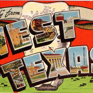 Arquivo digital de cartão postal, saudações do oeste do Texas, chifres de touro, carta grande,