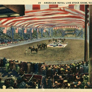 Linen Postcard, Kansas City, Missouri, American Royal Live Stock Show