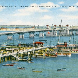 May include: Vintage postcard depicting the Municipal Dock and Bridge of Lions in St. Augustine, Florida. The image shows a bridge over the water, boats docked at a pier, and the text "MUNICIPAL DOCK, BRIDGE OF LIONS AND THE ATLANTIC OCEAN, ST. AUGUSTINE, FLORIDA-21K".