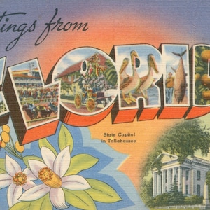Postal digital, saludos desde Florida, Capitolio estatal, flor estatal, letra grande