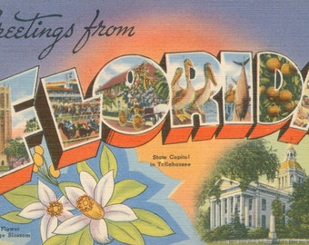 Digital Postcard, Greetings from Florida, State Capitol, State Flower, Large Letter