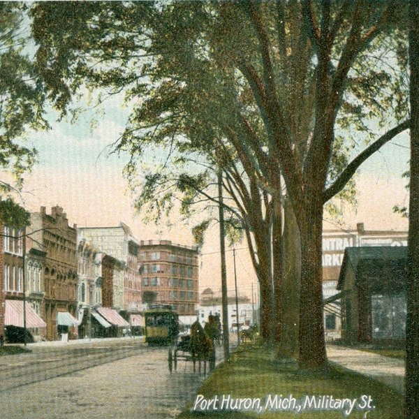 Vintage Postcard, Port Huron, Michigan, View on Military Street, ca 1907