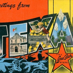 Cartolina digitale, saluti dal Texas, Blue Bonnets, Lone Star State, lettera grande