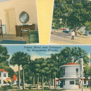 May include: Vintage postcard featuring three scenes: a hotel room, a street with buildings, and a view of cottages. The text reads "Palms Hotel and Cottages St. Augustine, Florida" and "Palms Tourist Court."