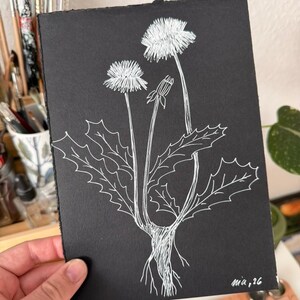 Könnte beinhalten: Schwarz-weiße botanische Illustration von Löwenzahnpflanzen. Die Kunst zeigt detaillierte weiße Strichzeichnungen von Löwenzahnblüten, Blättern und Wurzeln vor schwarzem Hintergrund. Die Signatur des Künstlers "mia, 26" ist unten rechts zu sehen.
