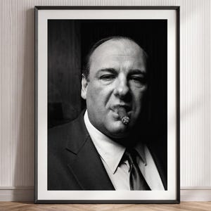 May include: A black and white framed portrait of a middle-aged person with a receding hairline, wearing a dark suit, white collared shirt, and a necktie. The person is holding a lit cigar in their mouth, looking directly forward with a serious expression.