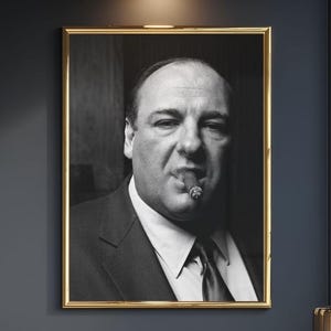 May include: A black and white portrait photograph of a man in a suit and tie with a cigar in his mouth, displayed in a thin gold frame. The subject has a serious expression, looking directly forward, captured in a high-contrast monochromatic style.