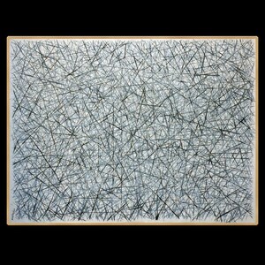 Könnte beinhalten: Abstrakte Kunst mit einem dichten Netzwerk sich kreuzender schwarzer Linien auf hellem Hintergrund, gerahmt in Holz. Die Linien bilden ein komplexes, strukturiertes Muster. Das Kunstwerk suggeriert Tiefe und Bewegung, präsentiert in einem rechteckigen Rahmen.