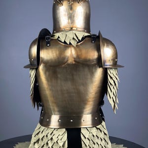 May include: A bronze-colored suit of armor, featuring a helmet with pointed crests and shoulder guards. The breastplate and backplate are smooth, with decorative elements resembling feathers or scales. The armor is designed to cover the torso and shoulders.