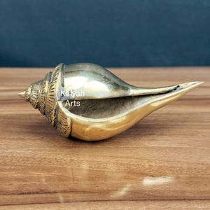 Könnte beinhalten: Eine polierte Messing-Muschelskulptur mit komplizierten Schnitzereien entlang der spiralförmigen Spitze. Die metallische Oberfläche reflektiert das Licht und betont die glatten Kurven des Muschelkörpers. Der Text Kalyan Arts ist seitlich sichtbar.