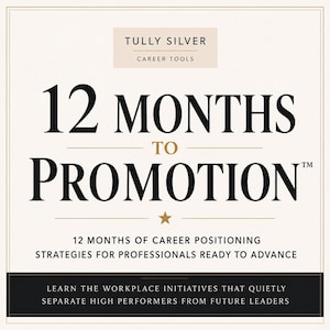 May include: A cream-coloured graphic with the text "TULLY SILVER CAREER TOOLS" at the top. Below, large black text reads "12 MONTHS TO PROMOTION". The bottom of the graphic includes the text "12 MONTHS OF CAREER POSITIONING STRATEGIES FOR PROFESSIONALS READY TO ADVANCE".