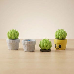 May include: Four small succulent plant figurines. Two are in grey pots, one is on a brown base, and one is in a yellow pot with a smiling face. The succulents are a bright green colour.