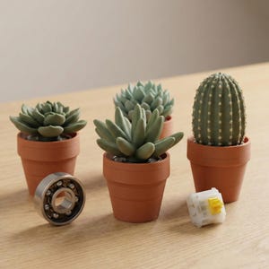 May include: Four small terracotta pots each hold a different succulent plant. The plants are various shades of green. A metal ball bearing and a white and yellow mechanical switch are also on the wooden surface.