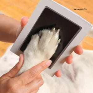 May include: A pet paw print kit with a white frame and a black ink pad. A white dog's paw is being pressed into the ink pad to create a paw print. The kit is held by a person's hands.