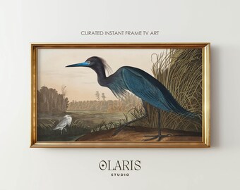 Little Blue Heron Art for Samsung Frame TV – Vintage Bird Wall Art (Digital Download)