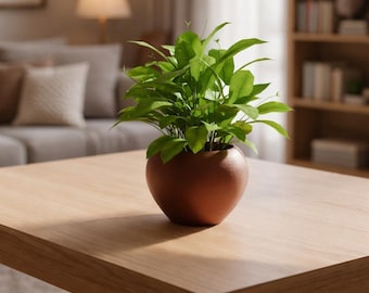 Vaso autoirrigante – Coprivaso martellato per piante da interno, regalo festa della mamma