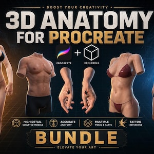 Può includere: Un pacchetto di anatomia 3D digitale per Procreate con modelli di corpi interi e torsi di figure umane in varie pose. La grafica include il testo 3D ANATOMY FOR PROCREATE e BUNDLE, insieme a icone per il dettaglio e il riferimento anatomico.