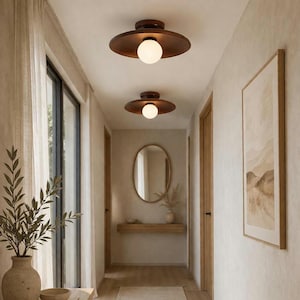 May include: A hallway featuring two bronze-colored, circular ceiling lights with a white globe bulb. The hallway has light-colored walls, a wooden door, and a framed landscape print. A vase with greenery is in the foreground.
